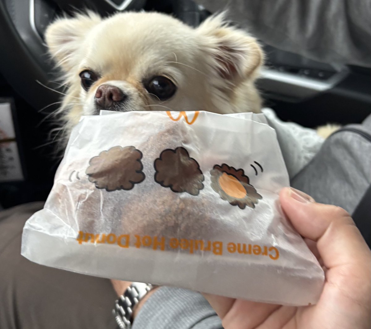 クリームブリュレホットドーナツ✨