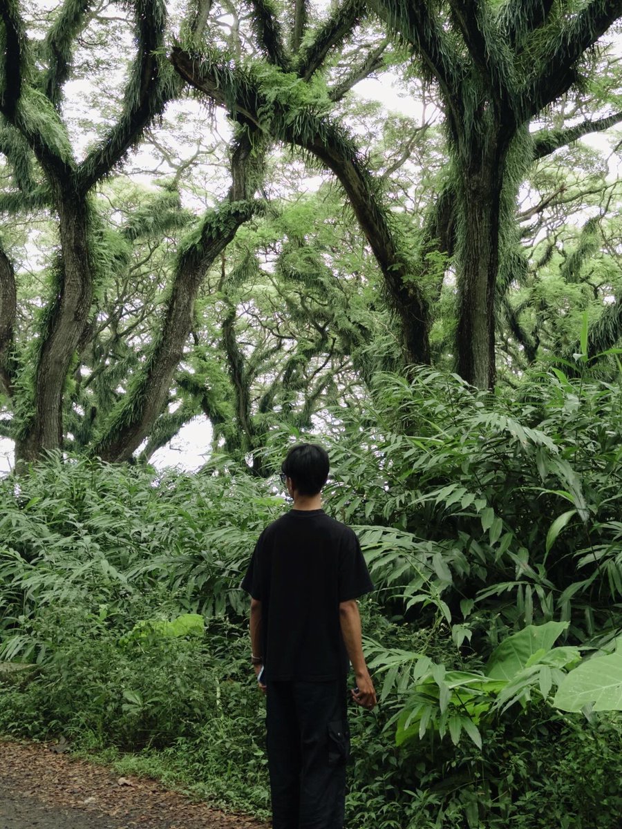 Dimvvan's tweet photo. 🍀🌿☘️🍃🌱🐛 https://t.co/krhTCpq96F