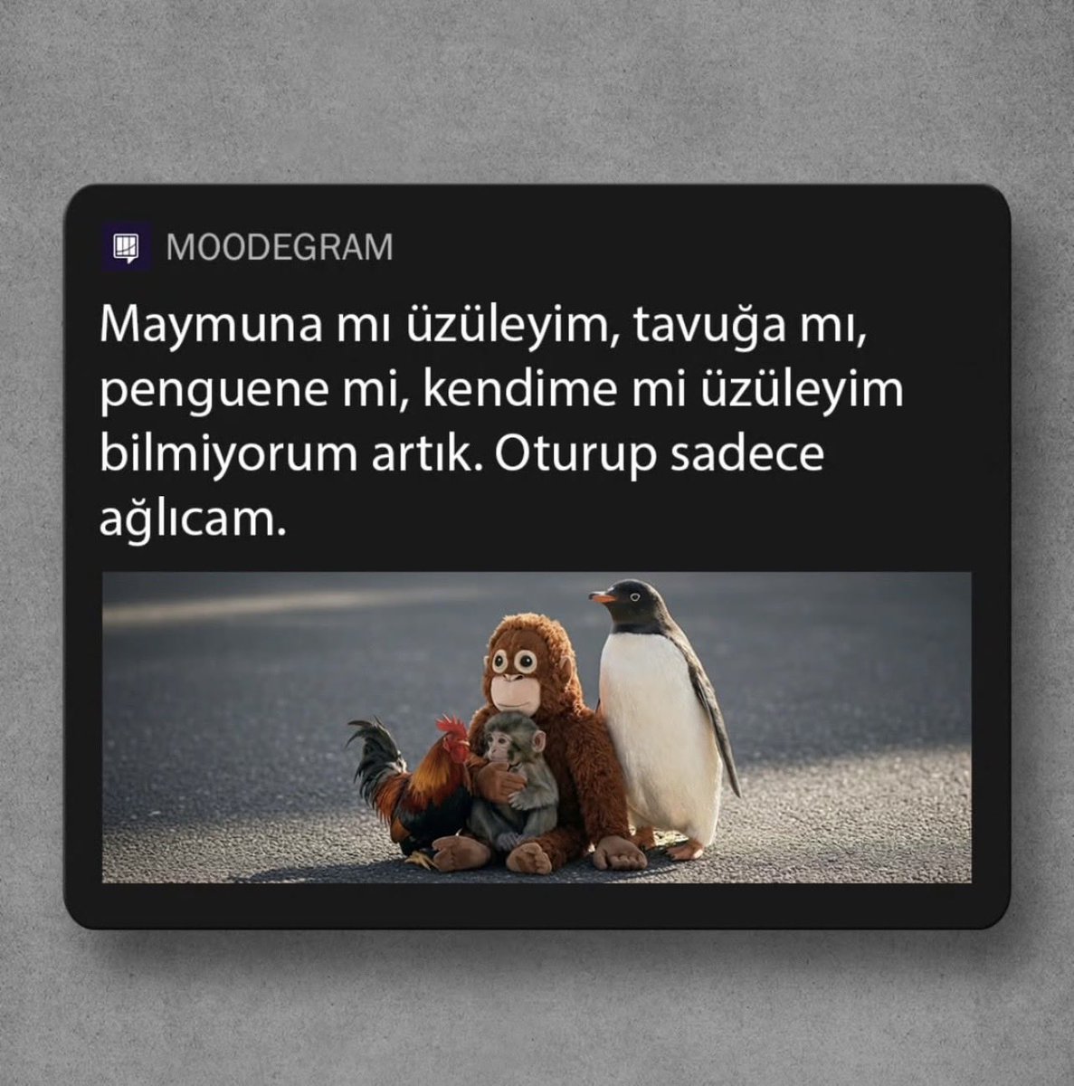 Yesimbakarr's tweet photo. https://t.co/0jiWCz7IWP