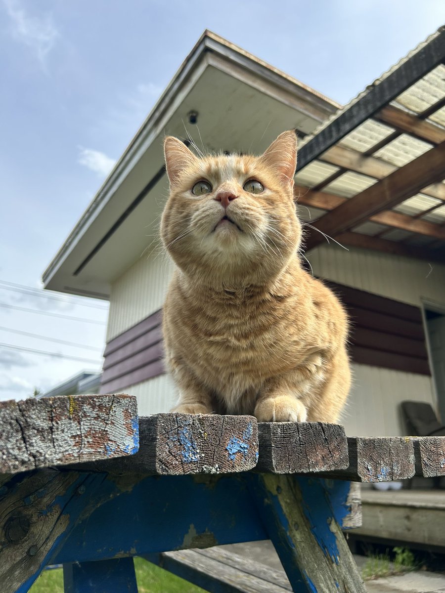 ☠Leah☠ tweet media