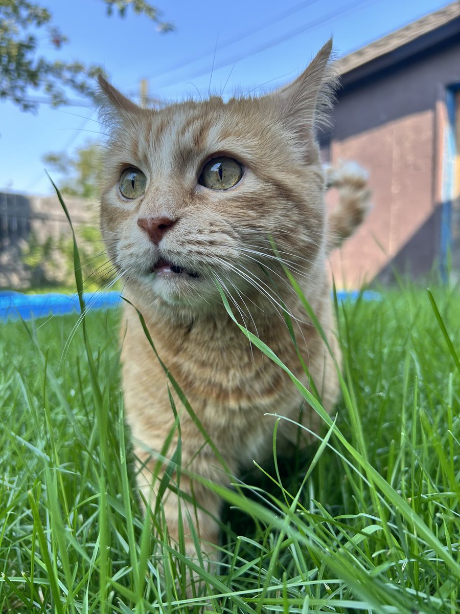 ☠Leah☠ tweet media