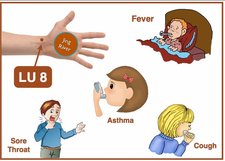 Clara Cohen tweet media