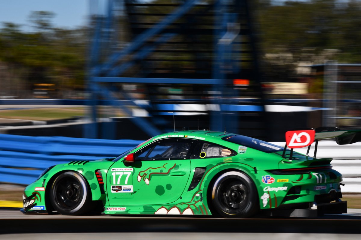 Lanky Turtle tweet media