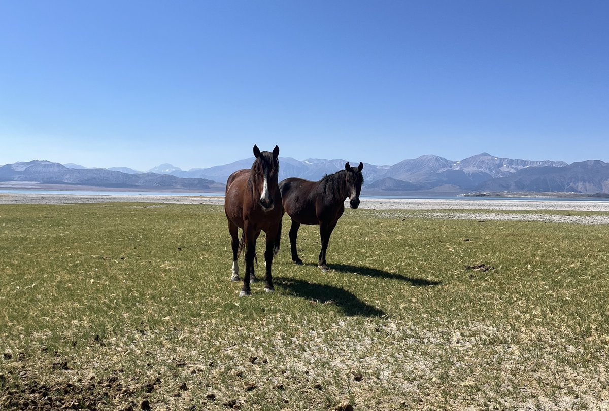 Lila Seidman tweet media