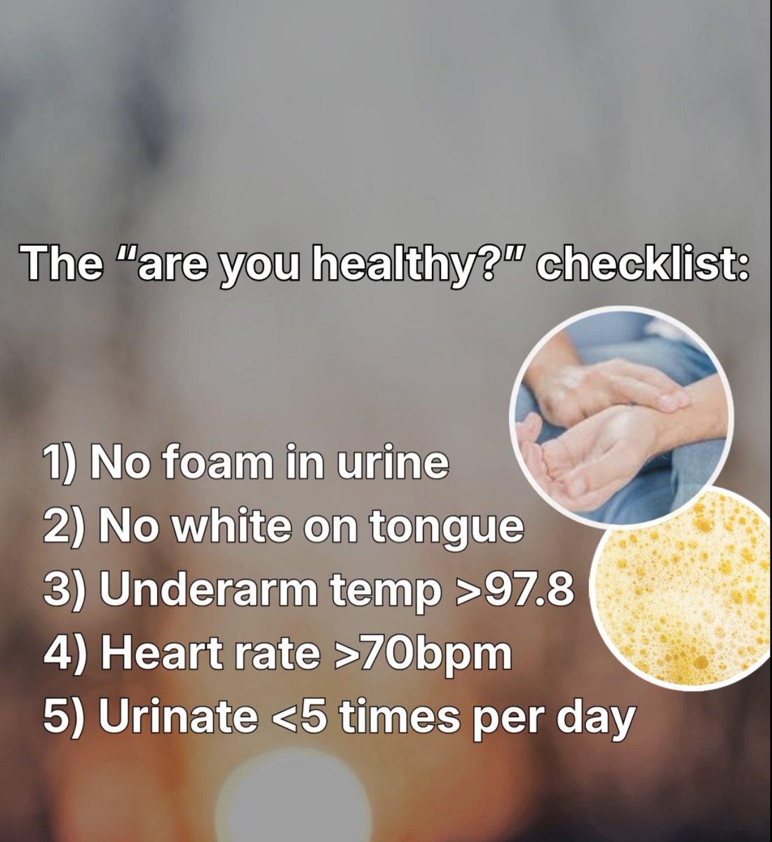 Dalton (Analyze & Optimize) tweet media