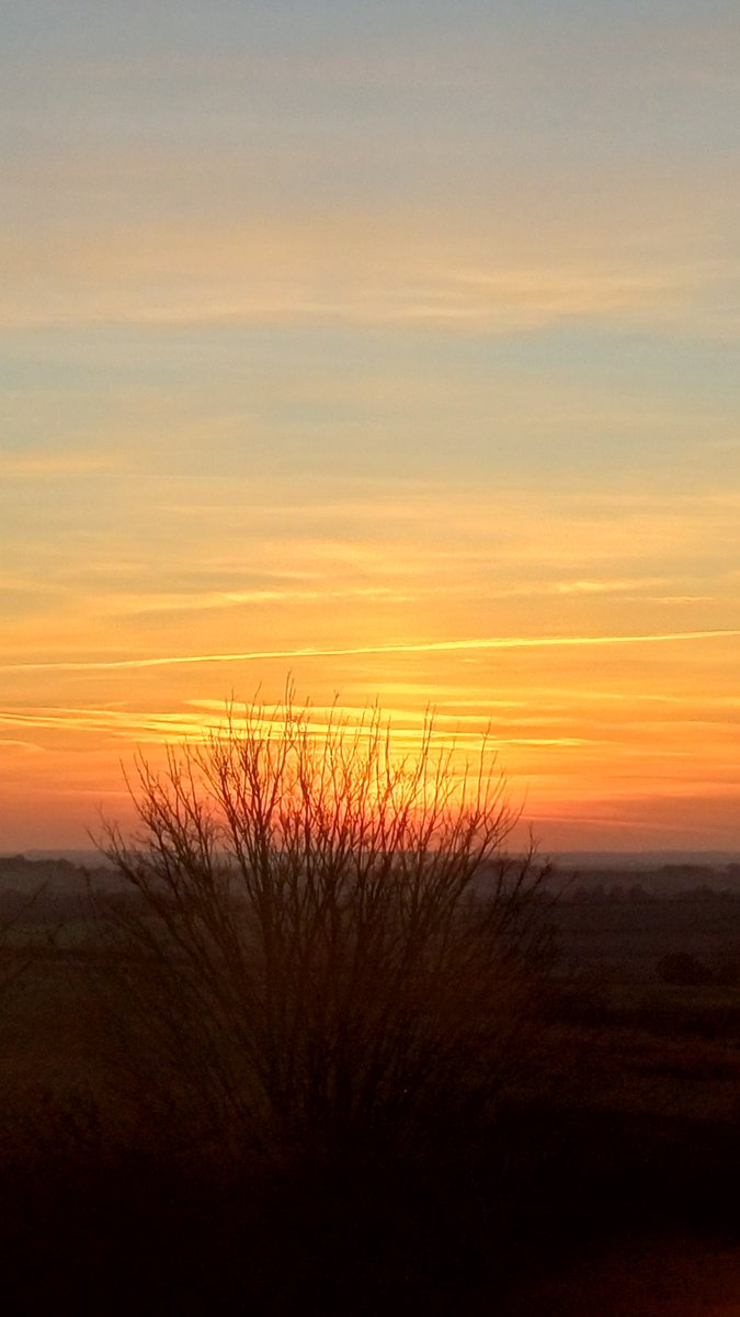 #TeamGunner tweet media