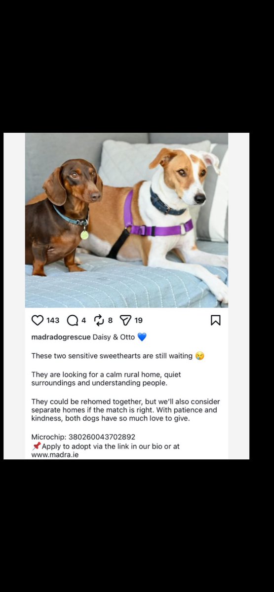 james fahey tweet media