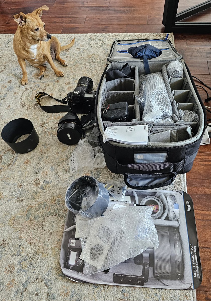 DrBonnyForrest's tweet photo. Violet helping me decide which lenses to pack. https://t.co/0EK24Hoy9v