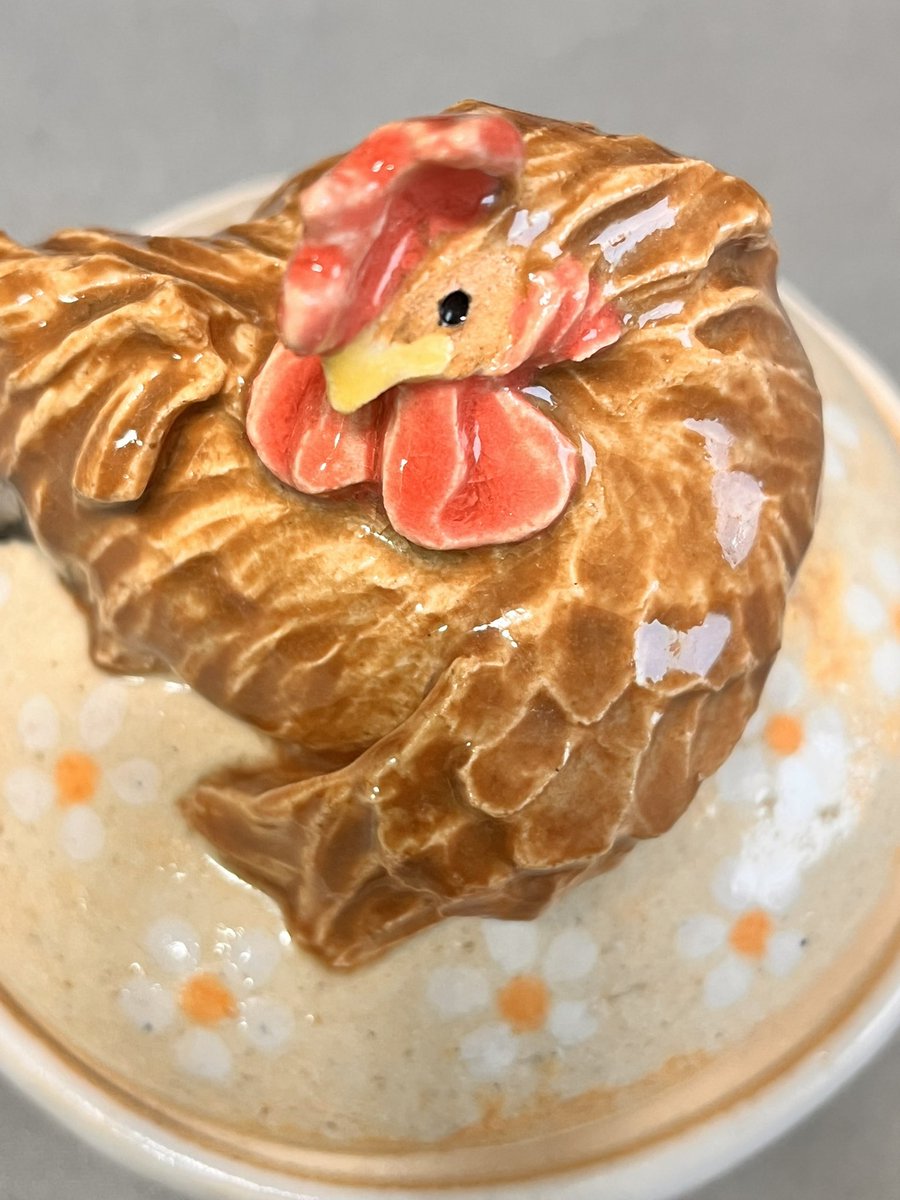 ニワトリ…に限らずですが鳥の翼ってフシギですよね。基本は人間の腕と