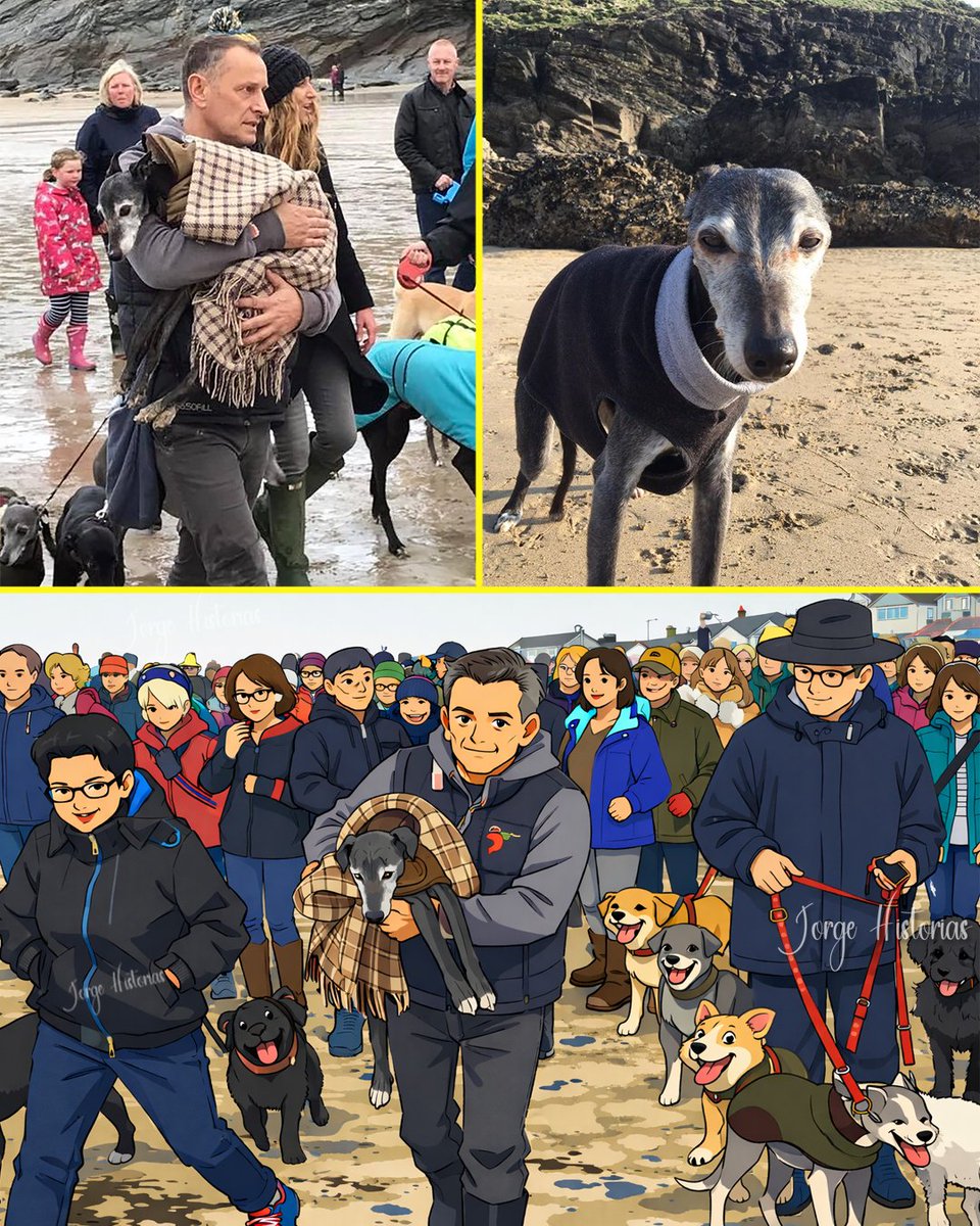 Invitó a desconocidos al último paseo de su perrita y la playa se llenó.

En 2016, Mark Woods publicó un mensaje sencillo en redes. Su perrita Walnut tenía 18 años, caminar ya le costaba y él quería llevarla una vez más a la playa que siempre había sido su lugar favorito, así que