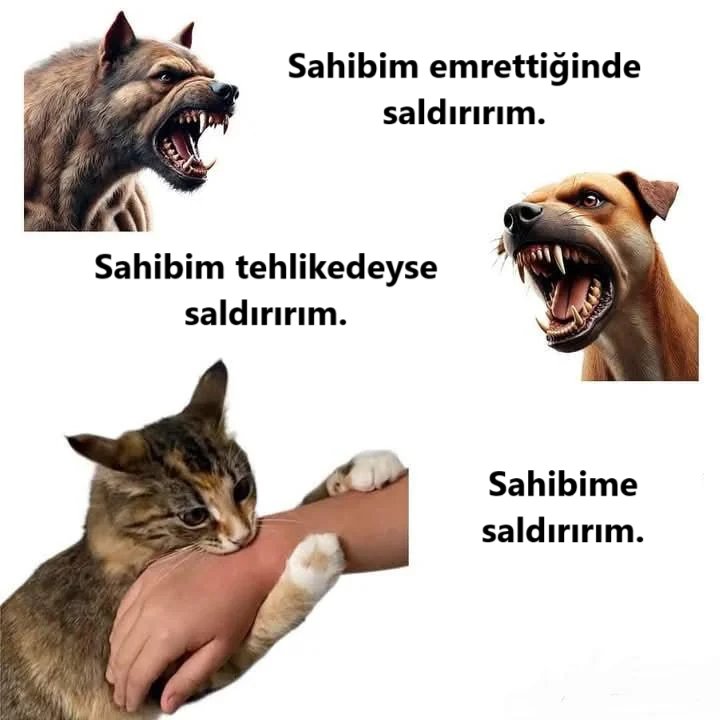 anlikmod's tweet photo. https://t.co/4eQbwHVND7