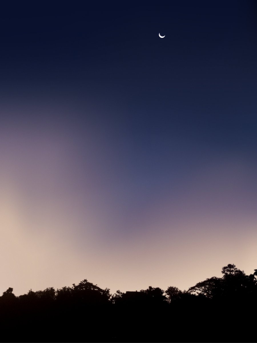 GDMeverything's tweet photo. The Moon Stands Alone https://t.co/qbLpJOx1tS