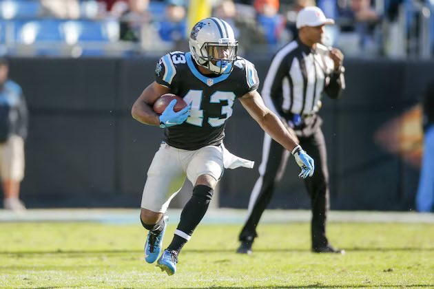 Jadarian Price NFL comp:

Fozzy Whittaker
