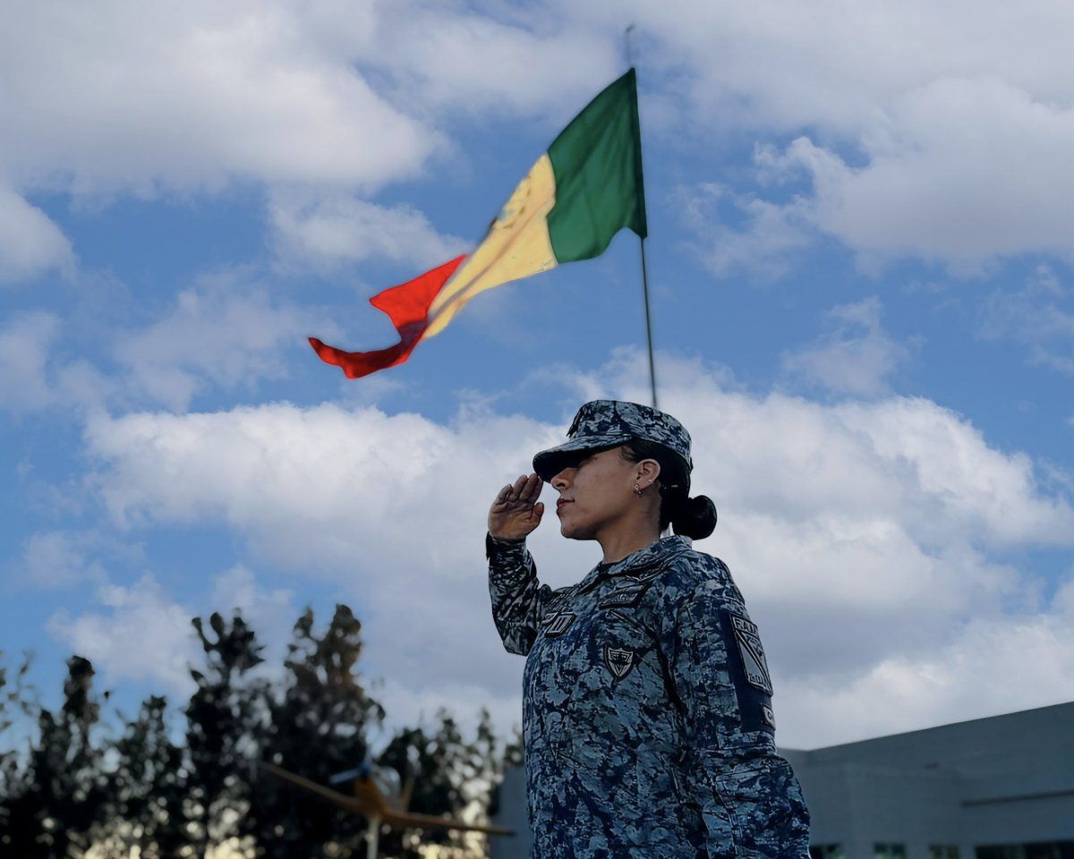 Fuerza Aérea Mexicana tweet media