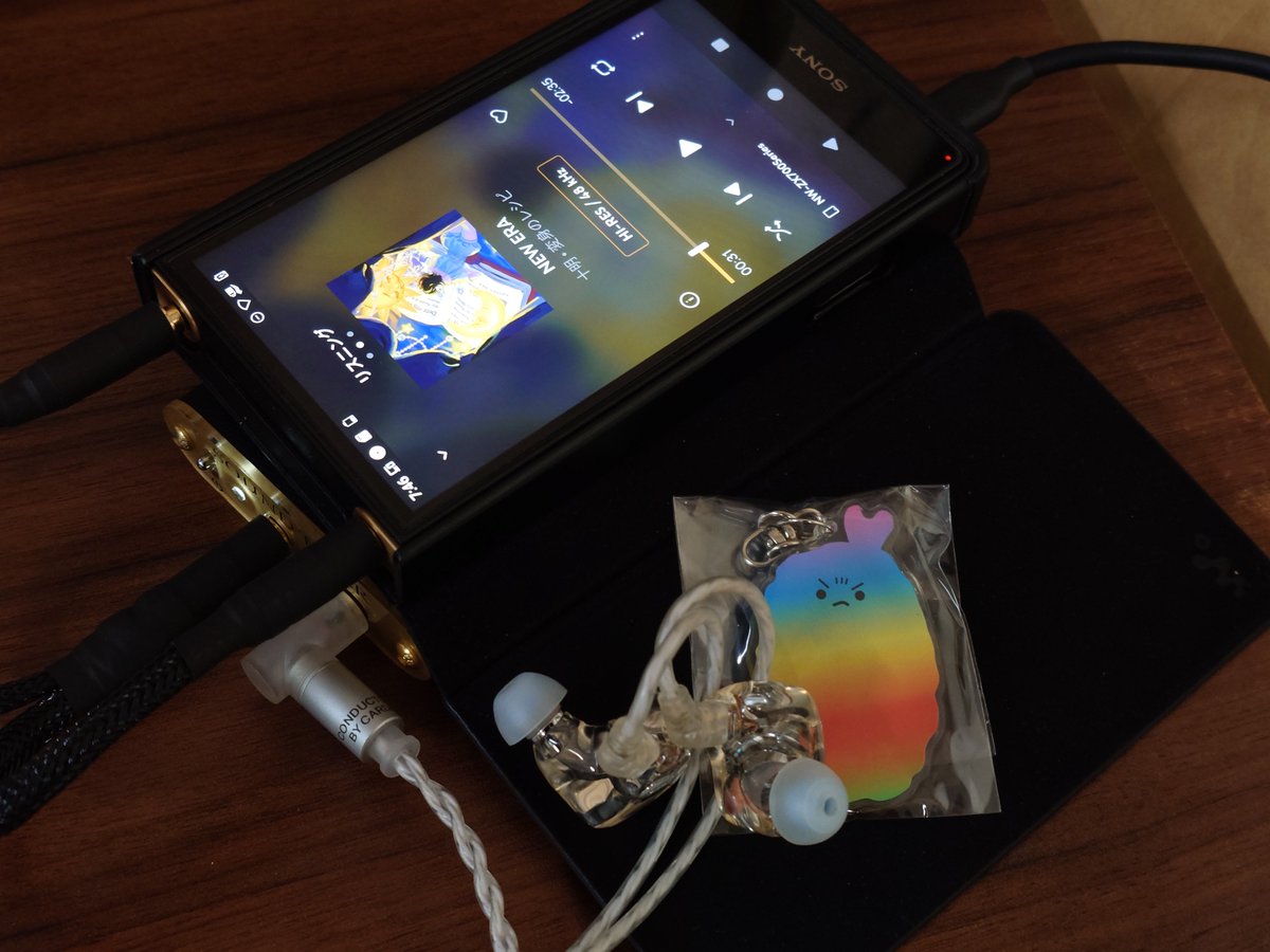 本日の朝オデ SONY NW-ZX707 Riskyさん製 4.4mm&3.5mm to 4.4mm IC