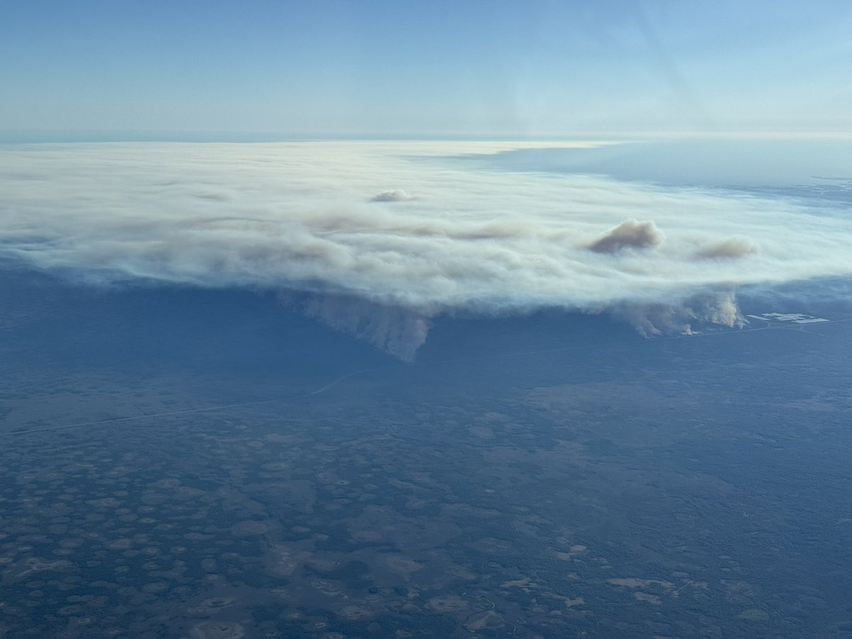 Mike Gagliardi (FL Weather) tweet media