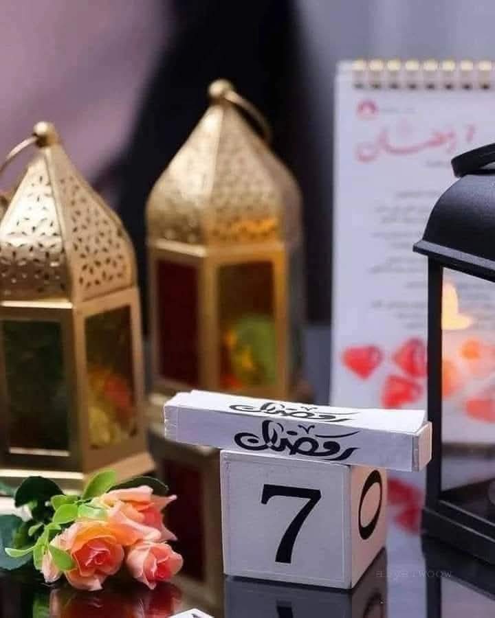 الســــلام وعـــلیکم ورحمتِ اللّٰه وبرکاته صُـبـــــحَ_بَـخــــــیَـر_زنــدگــِی
رمضان المبارک کی  روزے ساتویں سحری  مبارک ہو۔
  ذوالجــلال والاکـــرام
آپ کـو ہــر پریشانی، مصیبت، لوگوں کے شـر، حســد اور ناگہانی آفاتـــ سے بچائے  و  امــان میــں رکھـے۔آمیـــن ثمہ آمیـــن۔