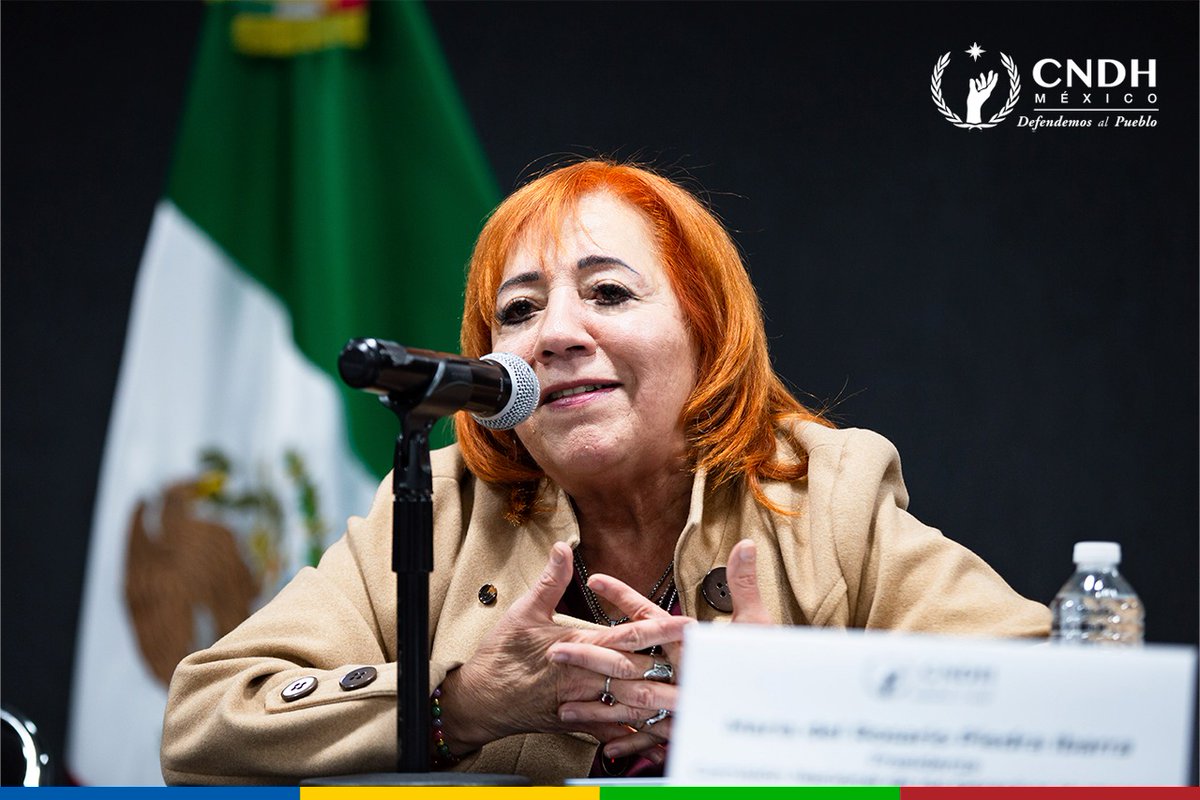 CNDH en México tweet media