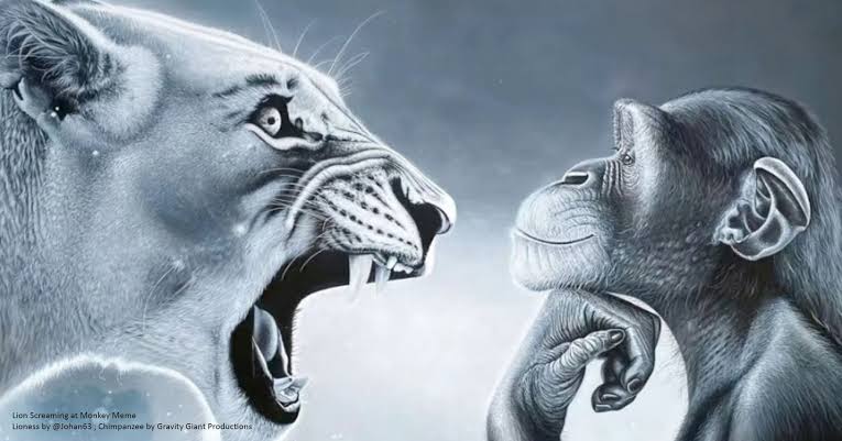 CallMeRed tweet media