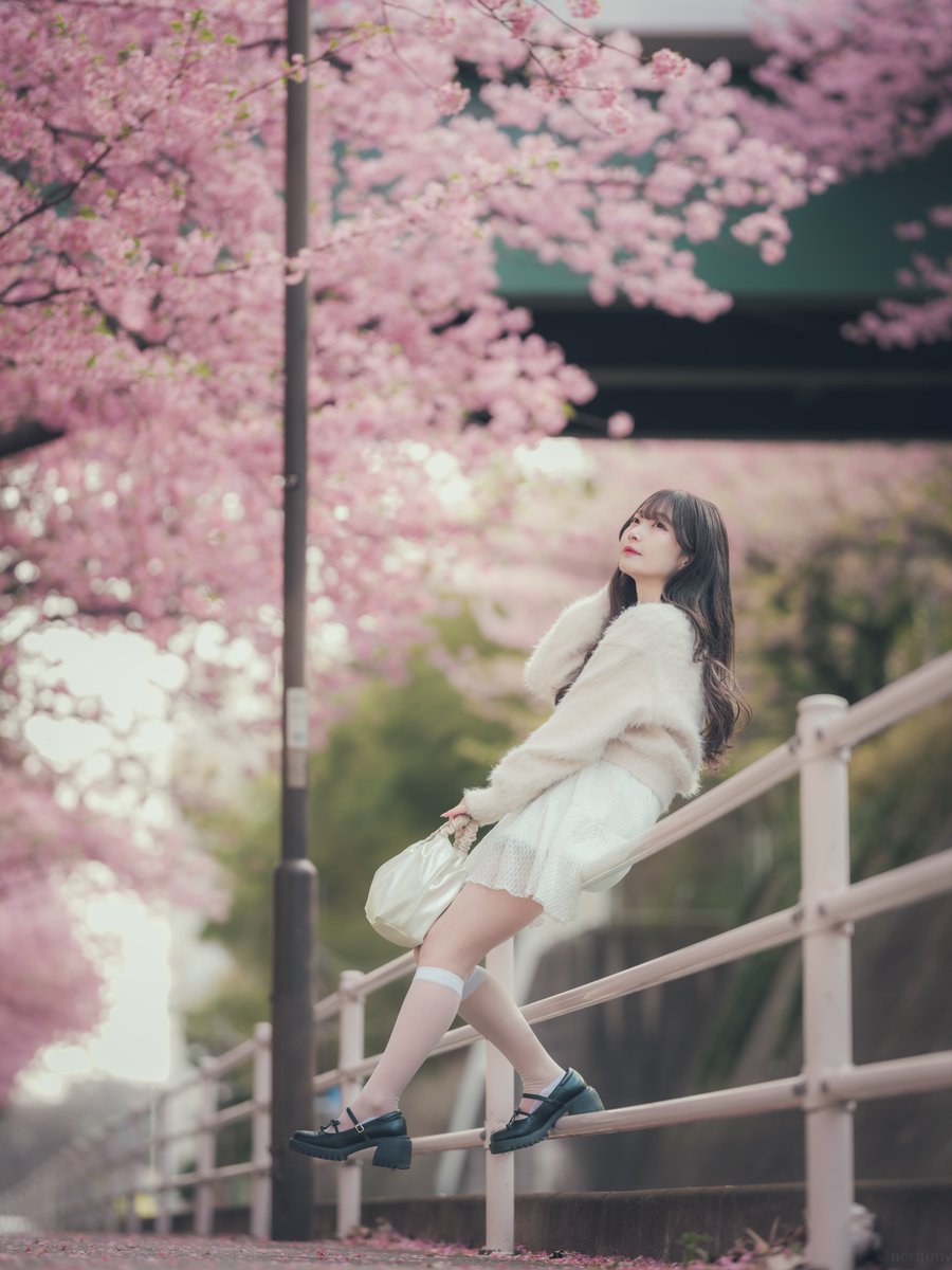 aki aki (@akiaki66697465) / Posts / X