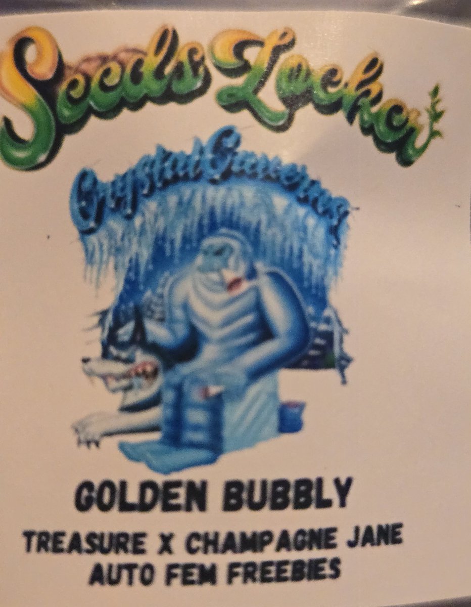 @kclightup tweet media