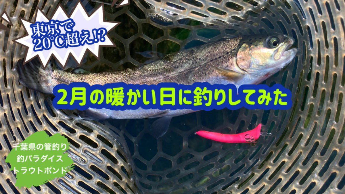 アナハゼ太郎 (@05j1g3bU634nmZ1) / Posts / X