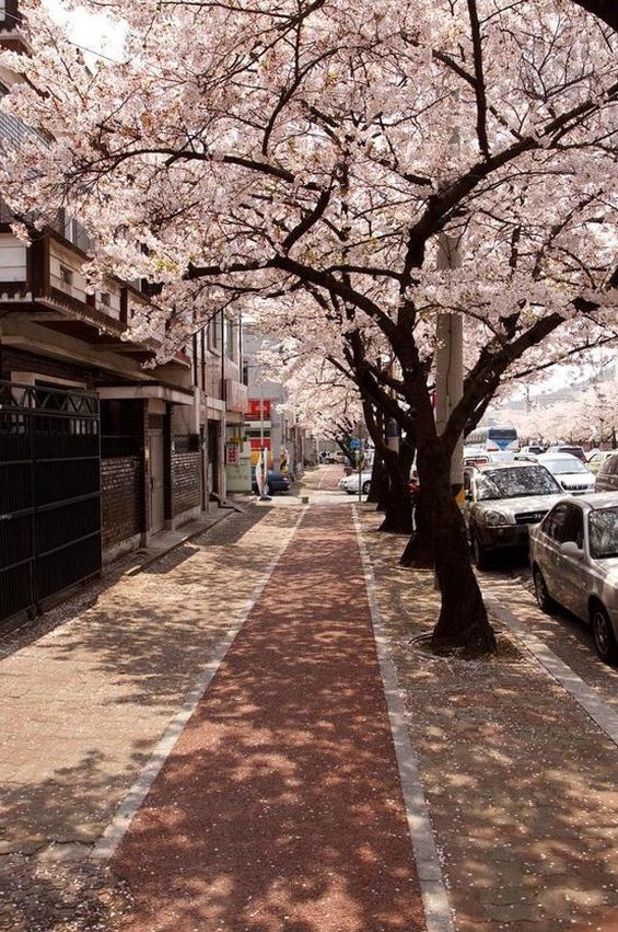 夕凪 奏十 tweet media