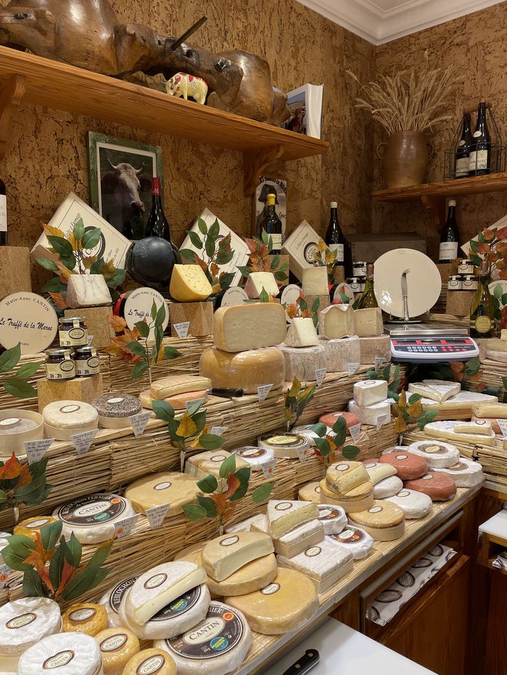 France Safety Travel tweet media