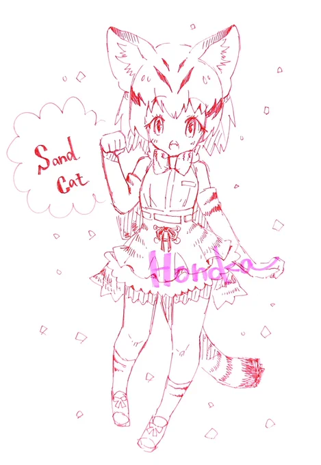 野生のネコフレンズ🐾 
