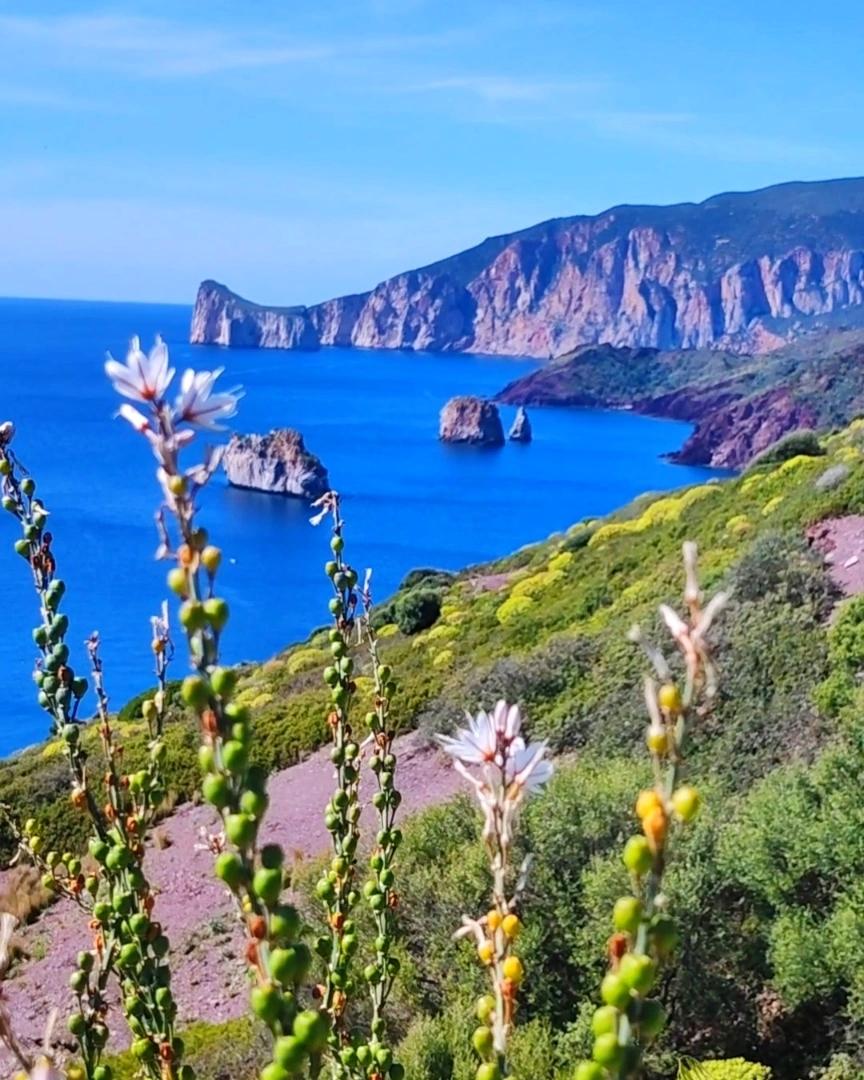 CristinaShonny's tweet photo. #Nebida
#Iglesias
#sudSardegna
Questo mare sembra un respiro infinito: ti sfiora, ti accoglie e ti ricorda quanto è grande la bellezza del mondo.
Buon mercoledì a tutti. https://t.co/UlIyFzkIYL