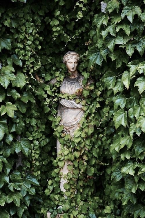 poeticalphotos's tweet photo. some green https://t.co/0MWFKwuzP4