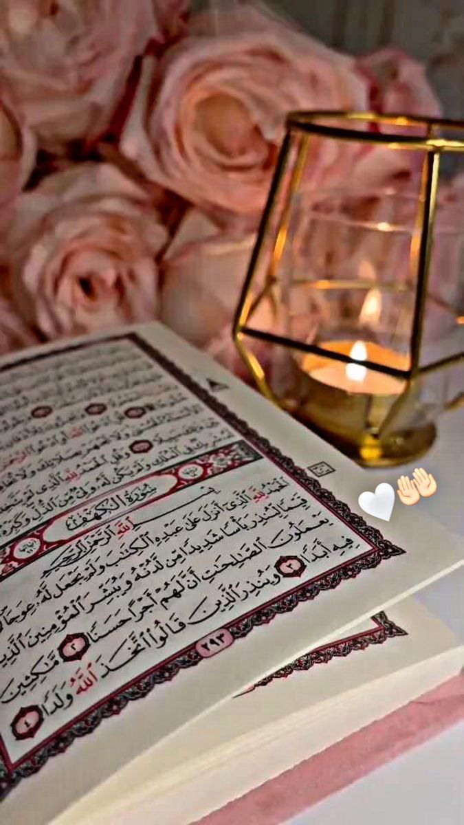 ســــ‏ـͥـͥͥــͩــᷧــᷡـــــــرکـار tweet media