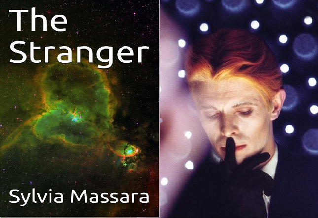 #climatechange #humanrights A #scifi #apocalyptic novel about the causal effects of love vs evil and whether planet earth is worth saving #BookLovers #readers - Available at your favourite book retailers or Amazon: amazon.com/stores/Sylvia-…  This novel was dedicated in memory of