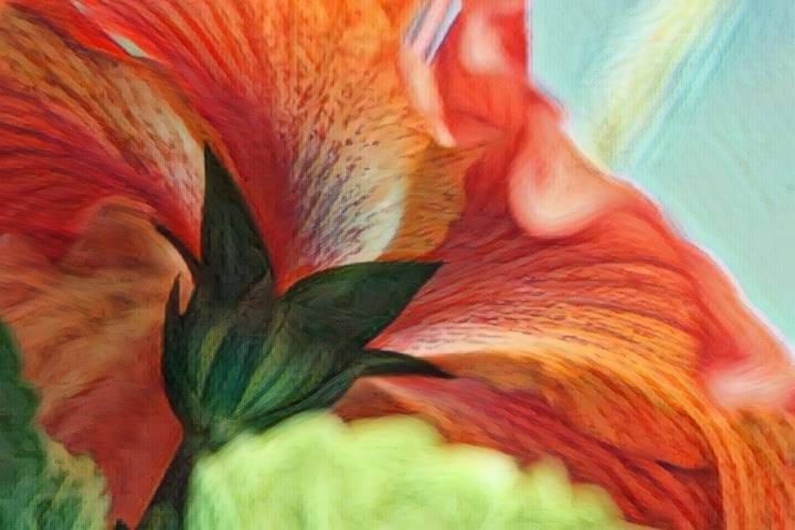 pdoodlepolly's tweet photo. Art of the Day! "Hibiscus". Buy at: https://t.co/wZz6dfJyHx https://t.co/3g3a3ggRFS