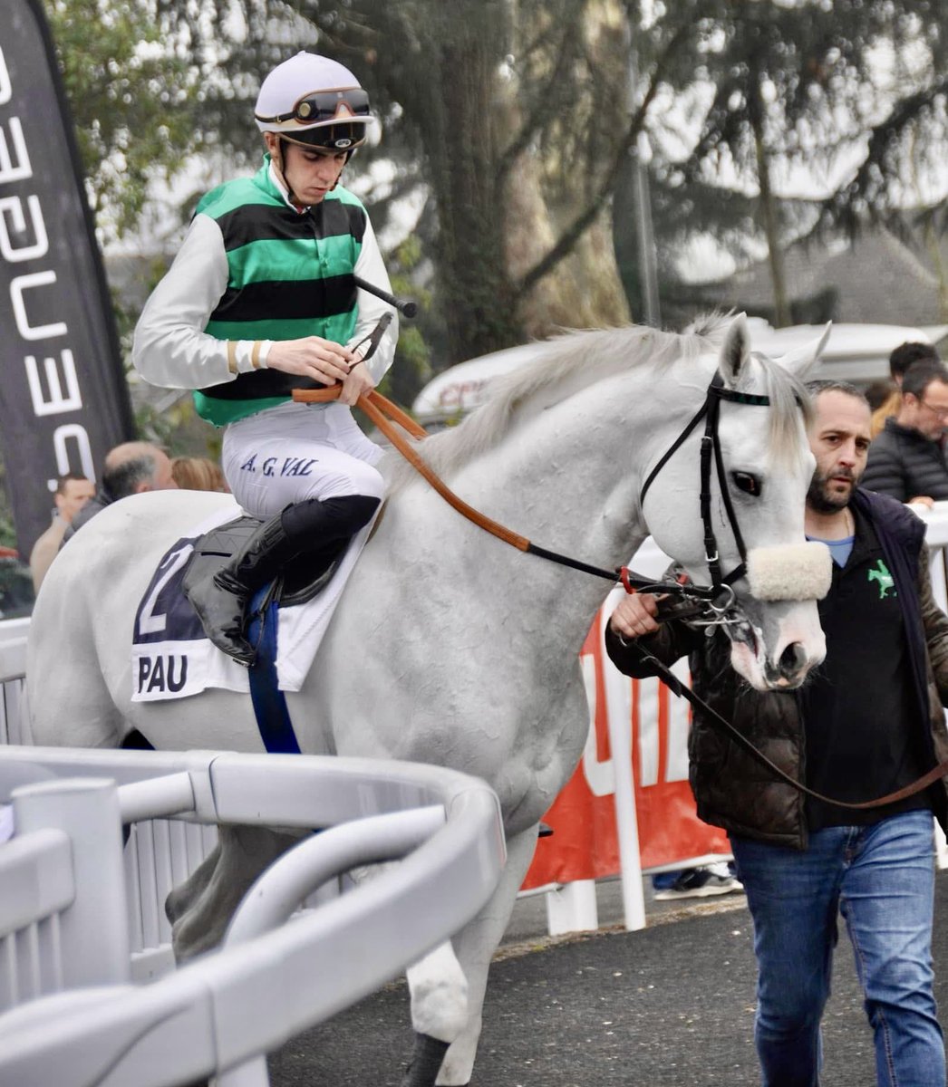 Ferdemente 🏇💚⚽️ tweet media