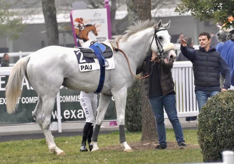 Ferdemente 🏇💚⚽️ tweet media