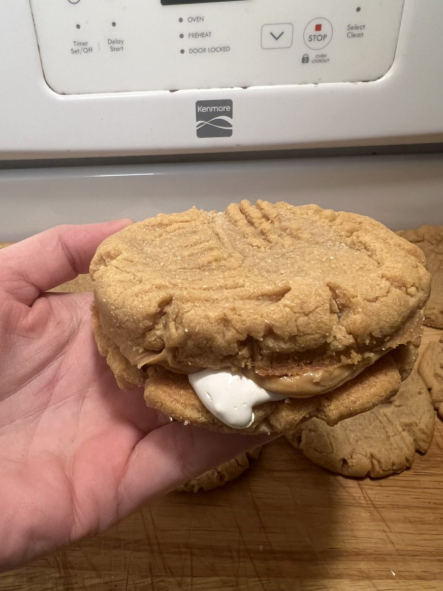 shel🐝 tweet media