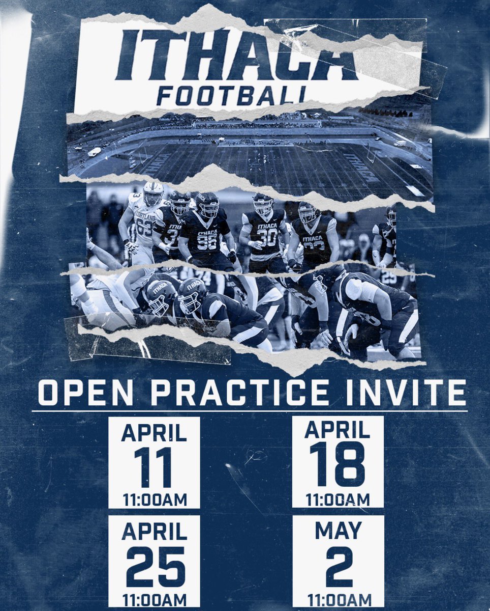 Max Bucci tweet media