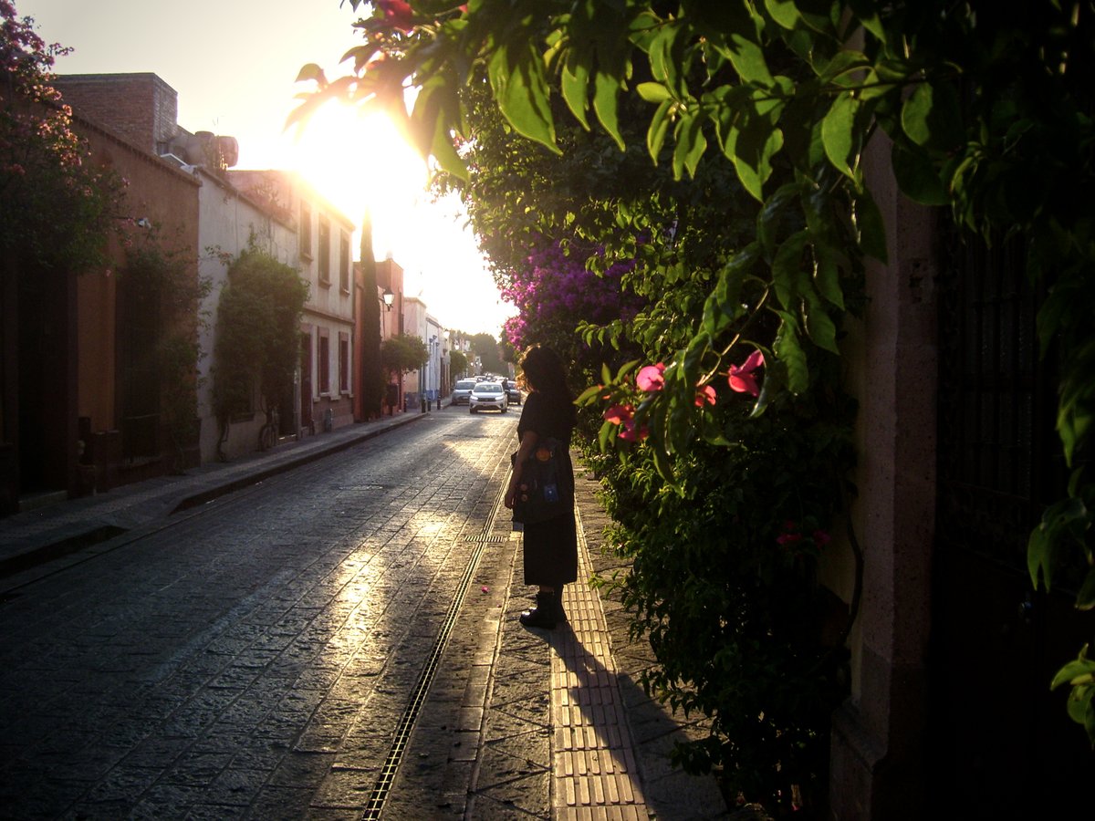 TheCarki tweet media