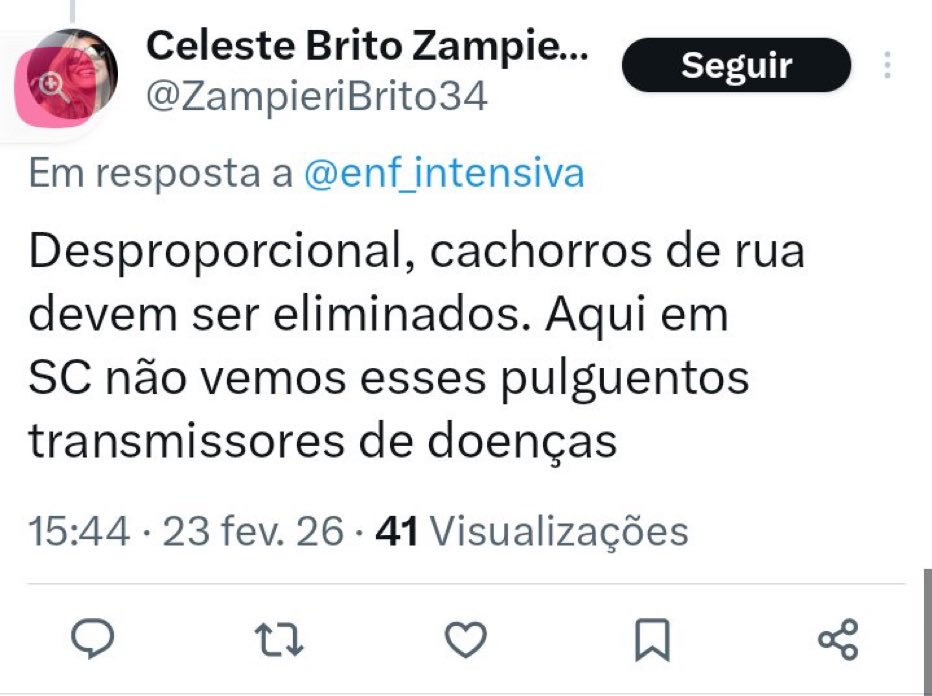 Vamos denunciar esse perfil pelo Orelha? Posso contar contigo?