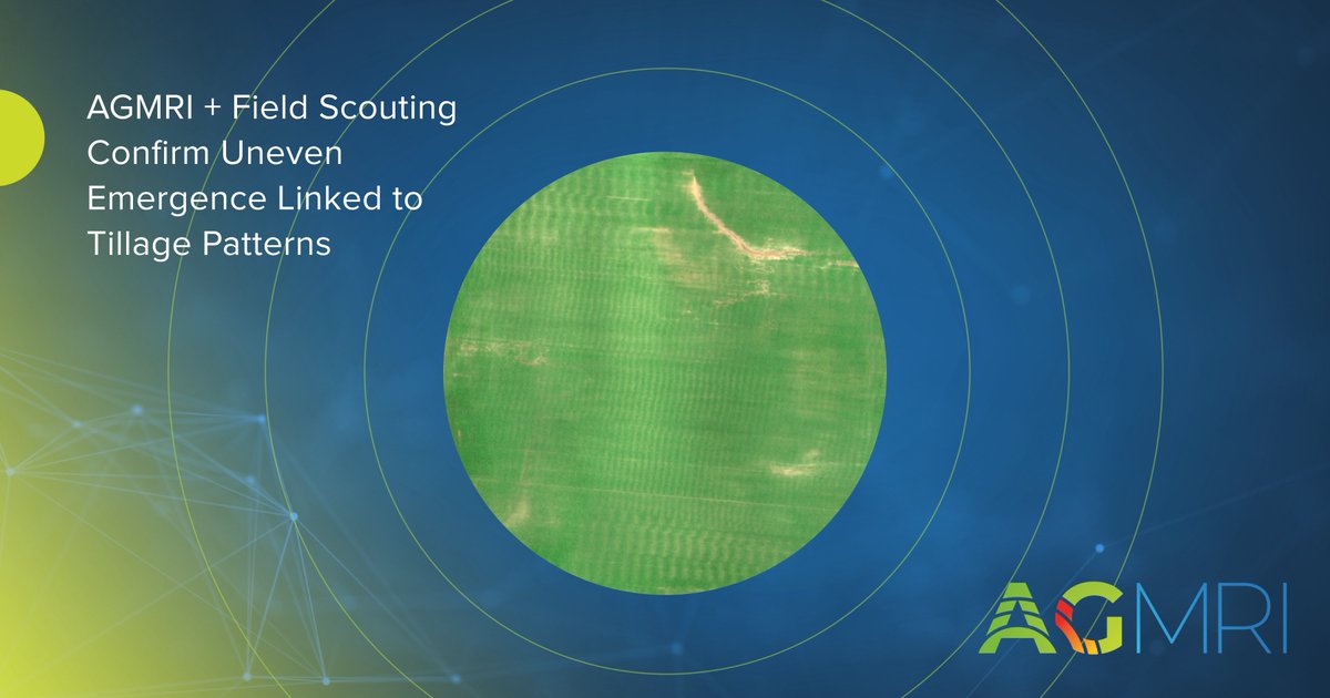 Intelinair tweet media