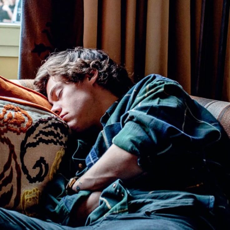 michi 🍋 tweet media