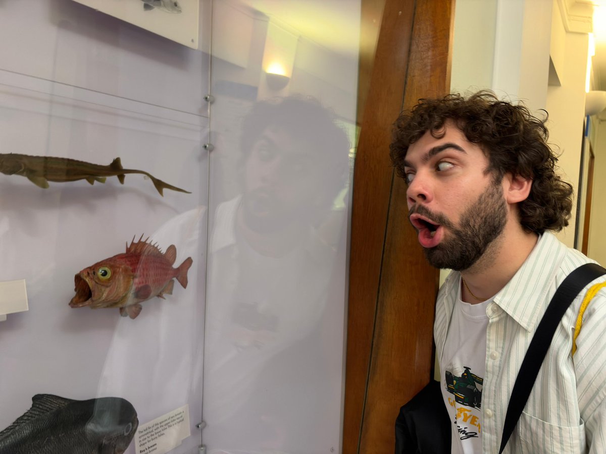 Domenico Vaccariello tweet media