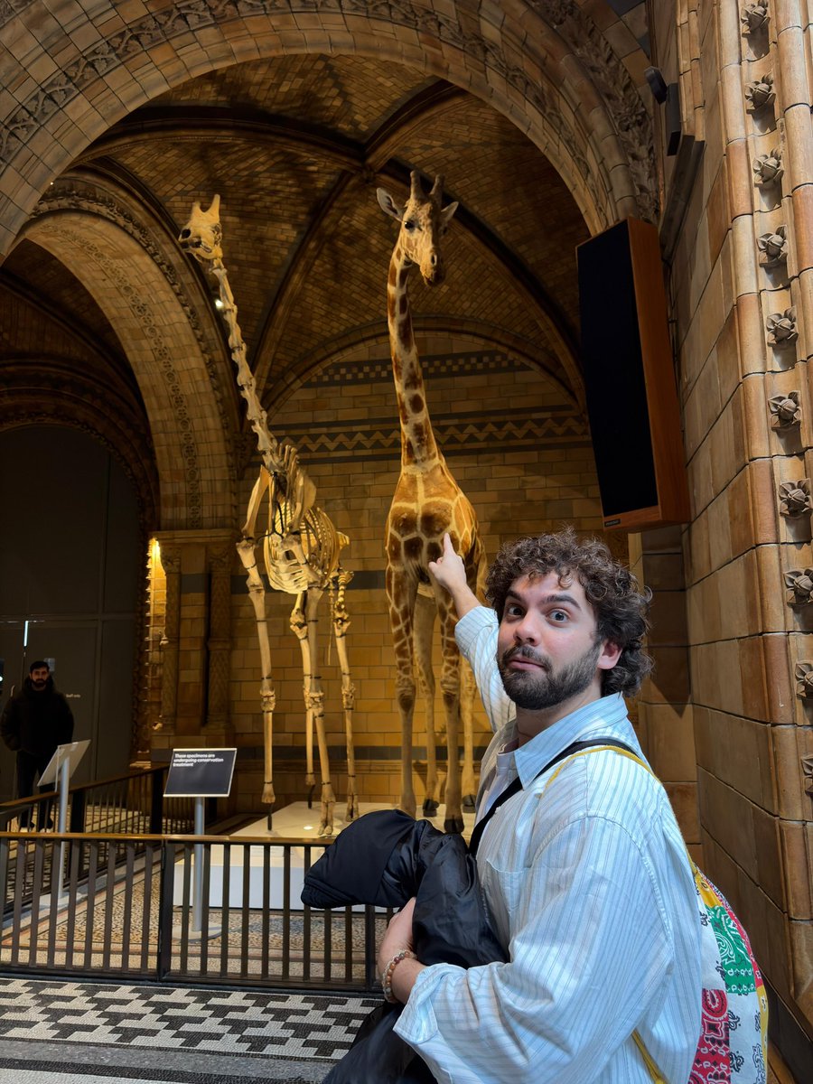 Domenico Vaccariello tweet media