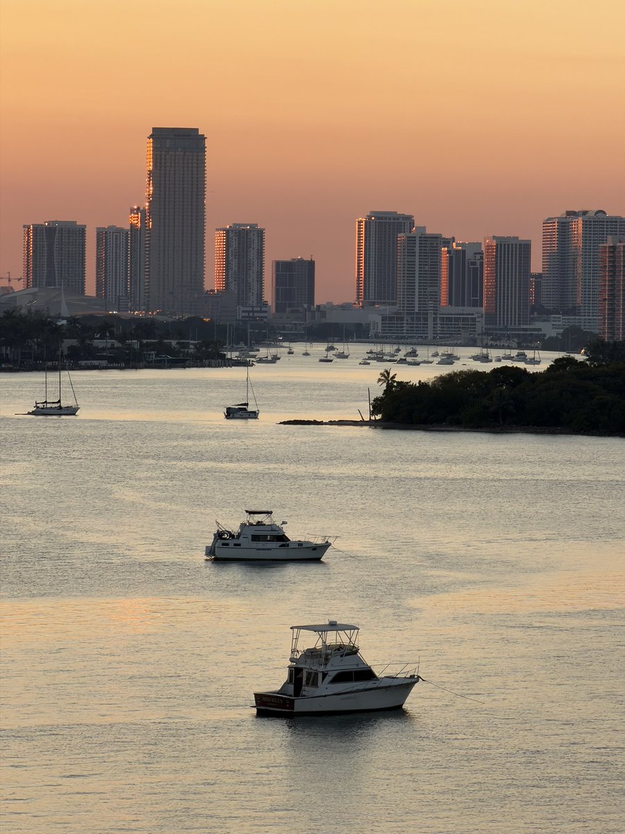 Fadil Inceoglu tweet media