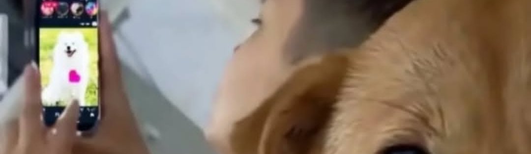 مـــــــهـMahaـا tweet media