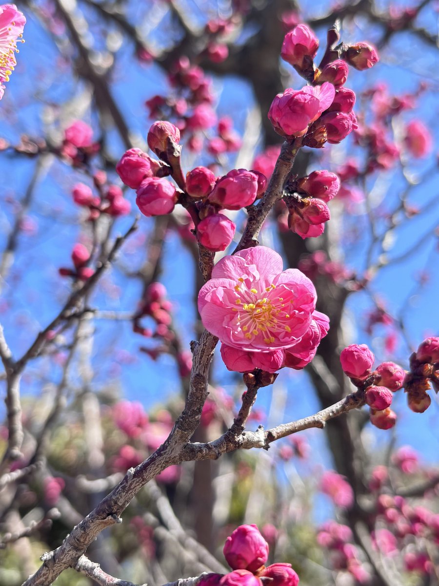 おてんちゃんご確認用 おはようございます