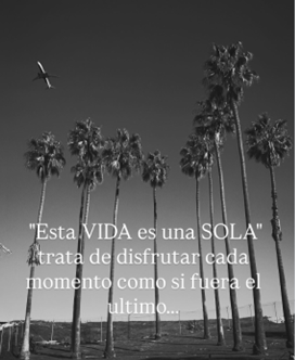 A menudo dejamos pasar estos momentos sin experimentarlos realmente. Yo, cada momento lo trato como el más importante. Lo abrazo plenamente y disfruto al instante, porque cuando permanezco consciente del presente abrazo el placer y el aprecio, haciendo c/momento un tesoro.