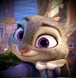 🥕Judy Hopps🥕 tweet media