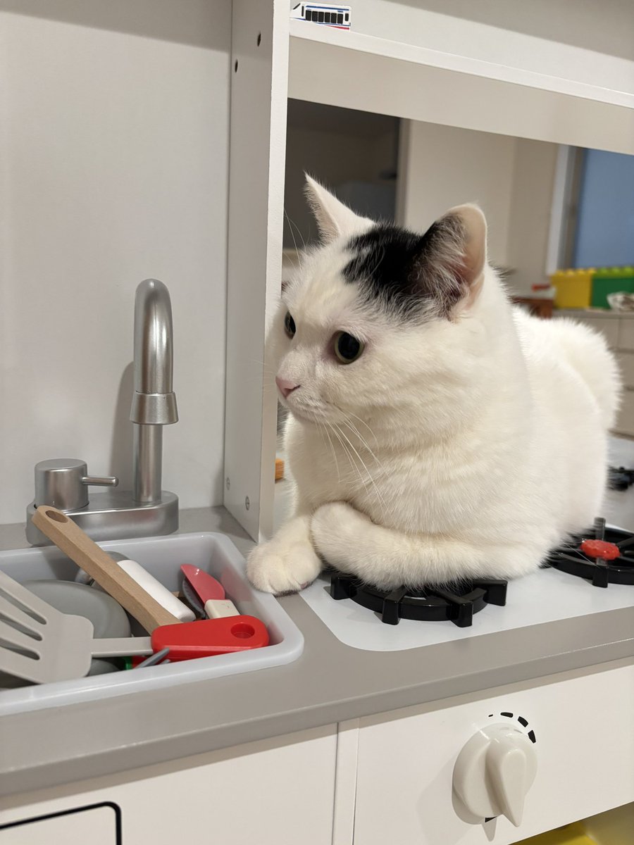 洗いものが溜まってるよ